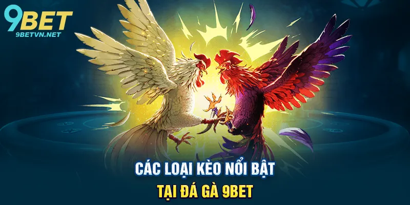 Các Loại Kèo Nổi Bật Tại Đá Gà 9BET