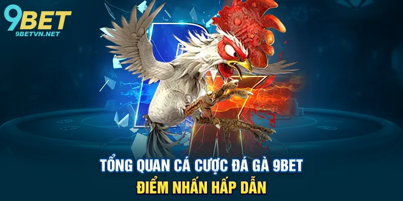 Tổng quan Cá cược đá gà 9BET – Điểm nhấn hấp dẫn