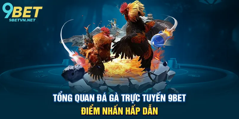 Tổng quan Đá gà trực tuyến 9BET – Điểm nhấn hấp dẫn