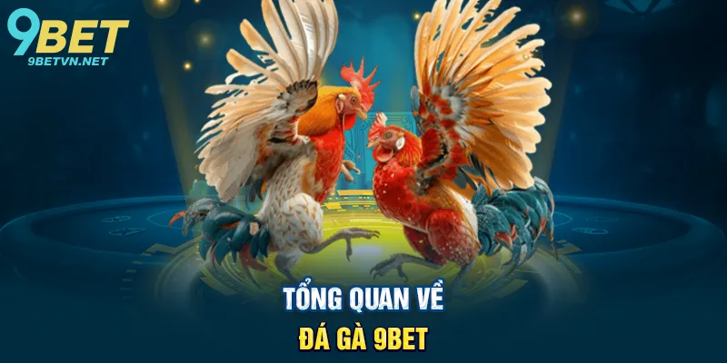 Tổng Quan Về Đá Gà 9BET