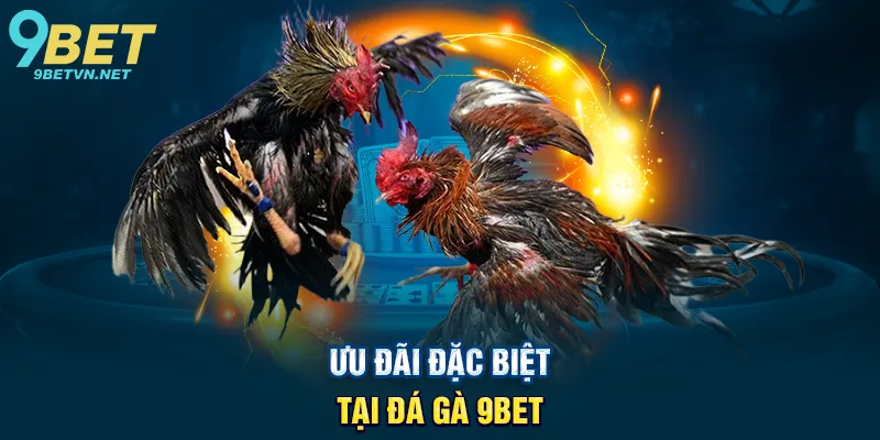 Ưu Đãi Đặc Biệt Tại Đá Gà 9BET